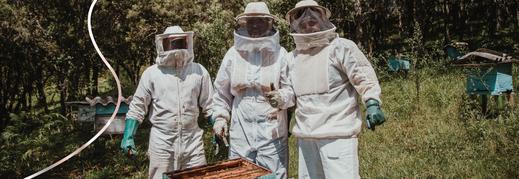 Earth Day: 10 Ways To Extend a Helping Hand To Our Precious Pollinators