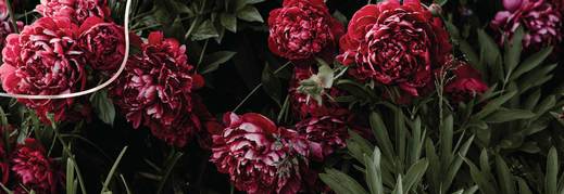 International Women’s Day Q&A with Su-Mari Hill