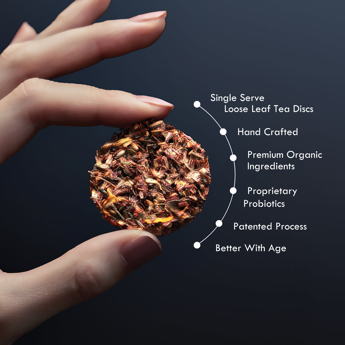 Citrus Punch No. 53 – Citrus Probiotic Oolong Tea Discs