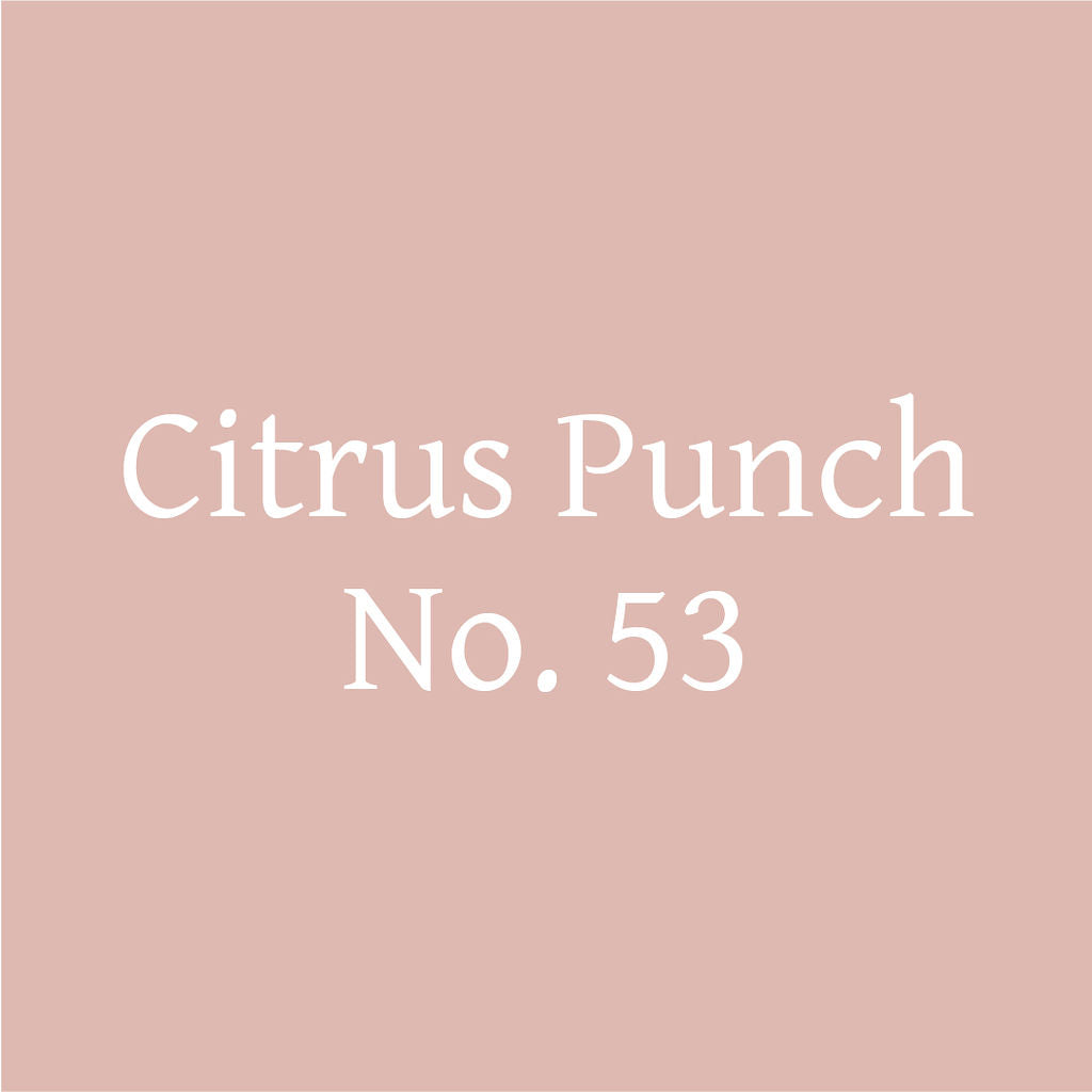 Citrus Punch No. 53 – Citrus Probiotic Oolong Tea Discs