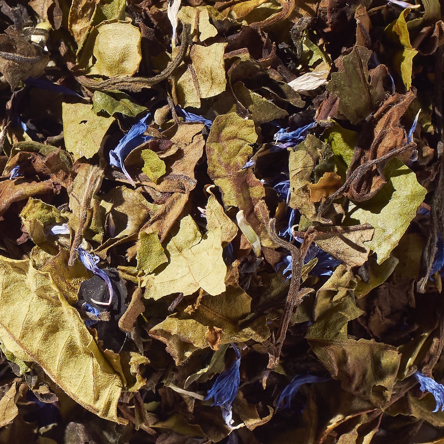 Peony Blueberry No. 43 | Loose Leaf White Tea