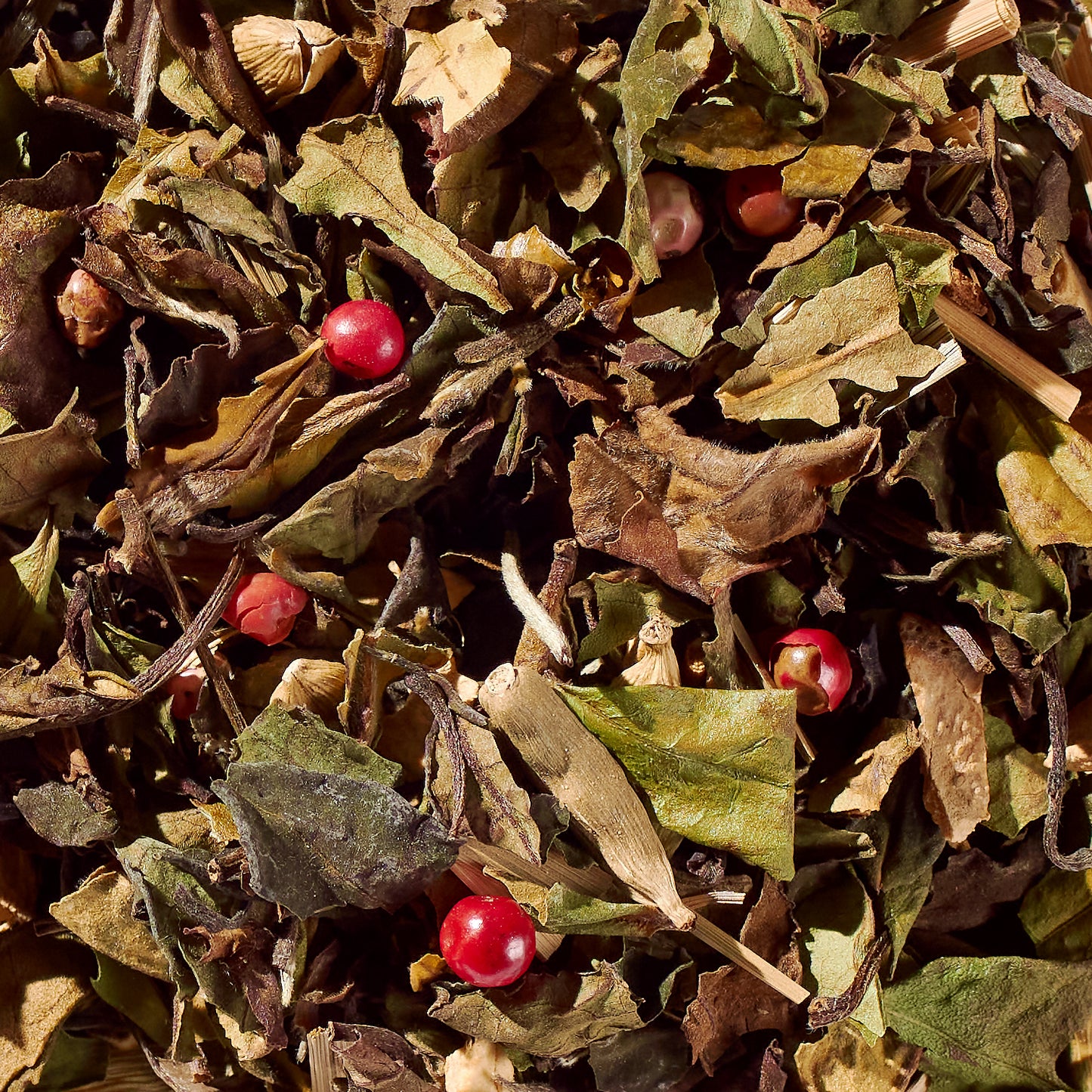 Sweet Cinnamon Chai No. 40 – Spiced Probiotic White Tea Discs