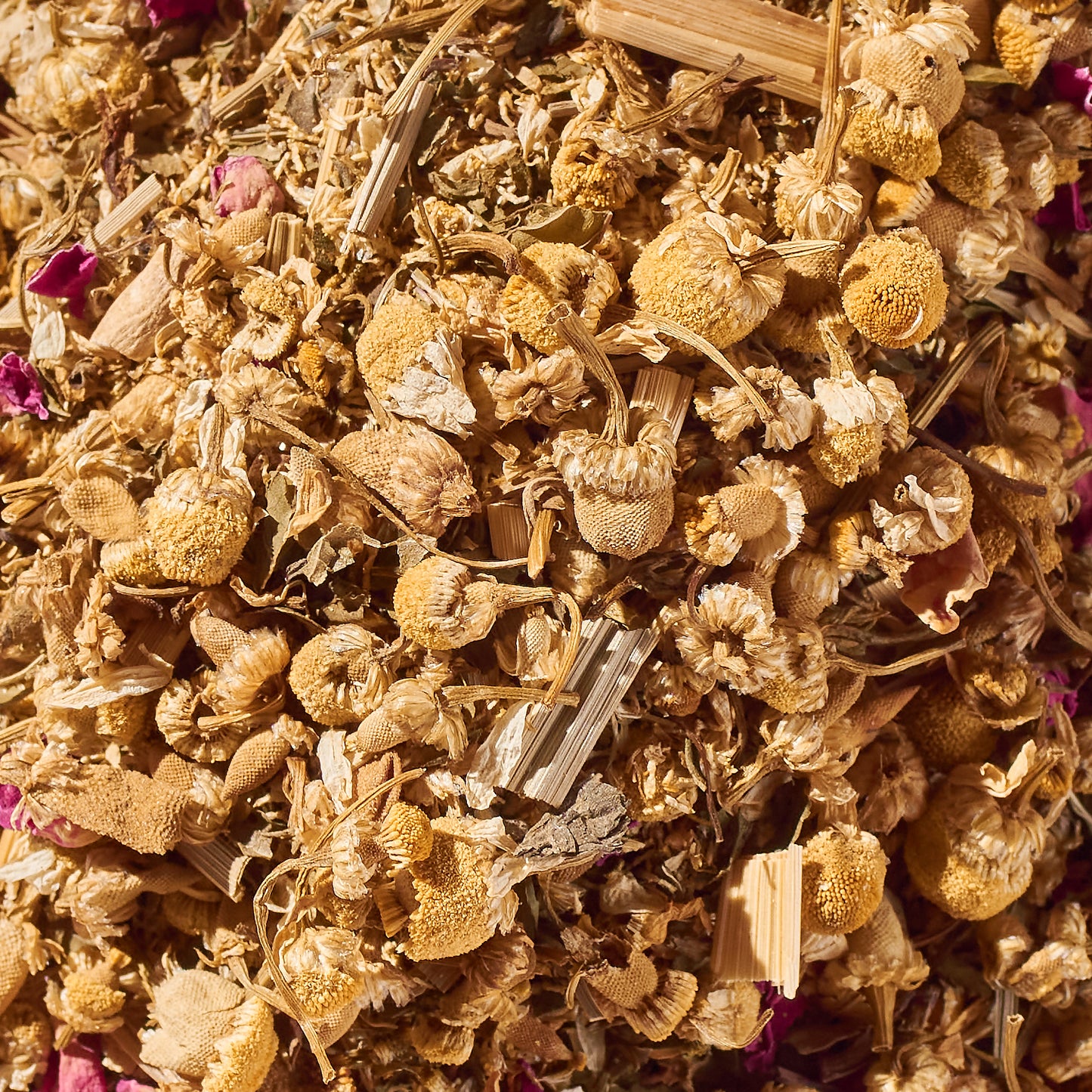 Sweet Dreams No. 04 – Calming Probiotic Herbal Tea Discs