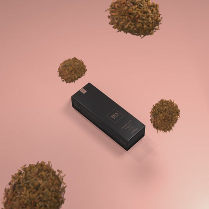 Tea Disc Essential Set | Probiotic Loose Leaf Tea Discovery Box